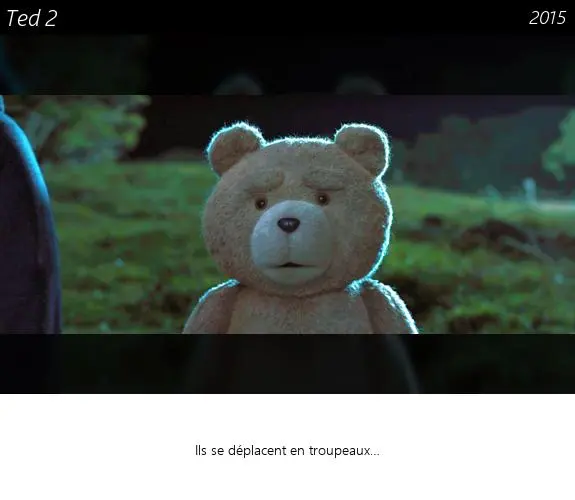 Vignette : Ted 2
